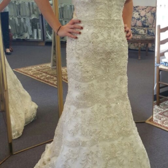 Wedding Dress - Picture 7 of 8